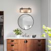 2-Light Black Vanity Light with Seeded Glass Shades